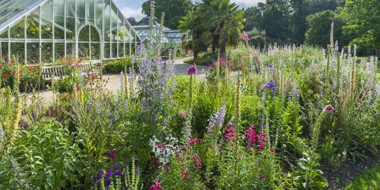 Kredit Kebun Raya Universitas Cambridge: Howard Rice