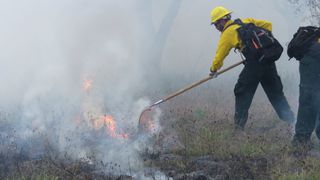 Seorang petugas pemadam kebakaran bekerja di dekat kebakaran di Taman Nasional Everglades