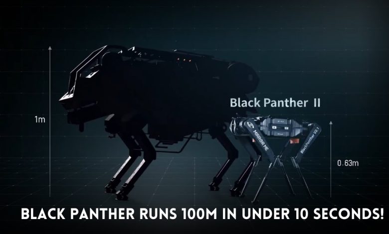 Robotic Dog berlari 100m dalam waktu kurang dari 10 detik! (Black Panther 2.0) - YouTube