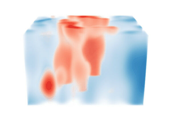 Bagian 3D dari korteks visual di mouse. Neuron yang memproses informasi f