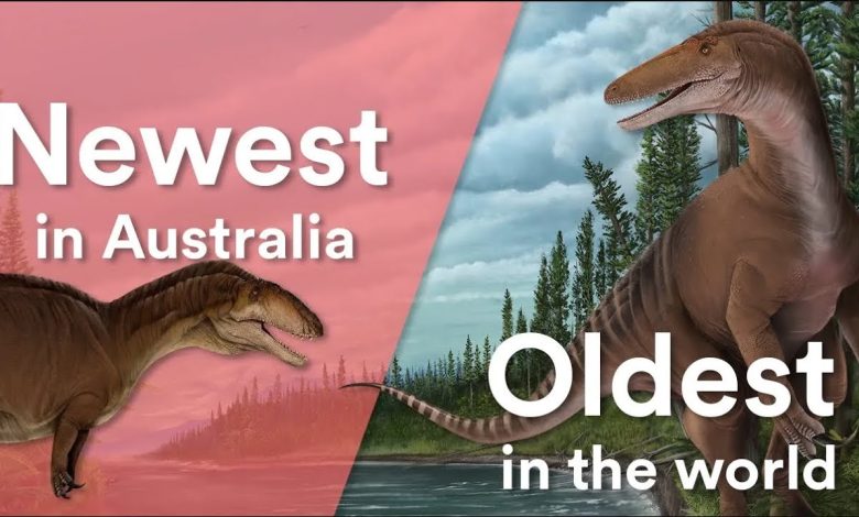 Dinosaurus Australia Baru, dan fosil megaraptorid tertua di dunia - YouTube