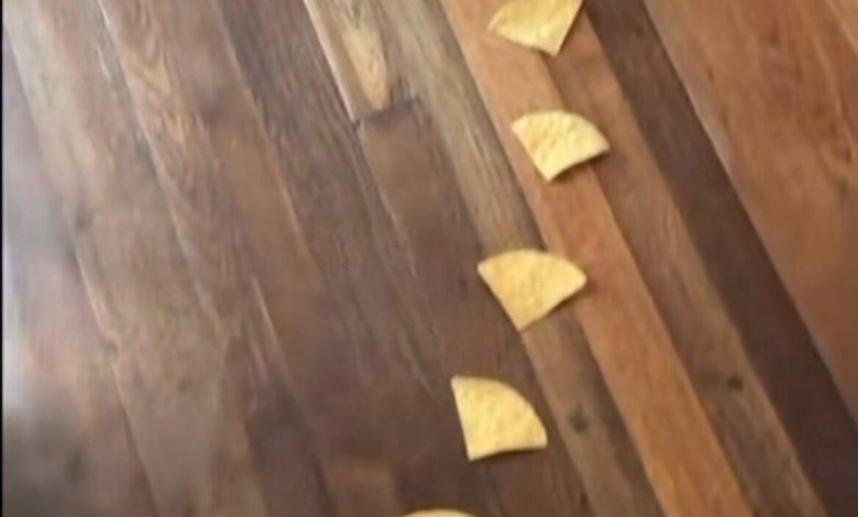 Cerita Instagram Benny Blanco tentang keripik tortilla