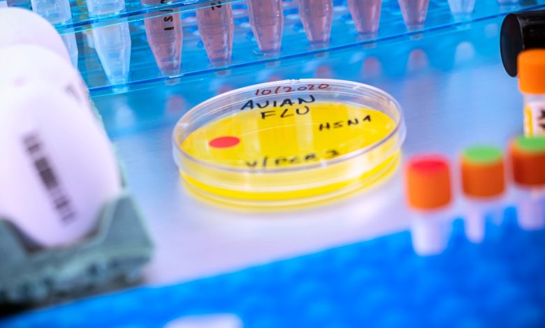 Gambar close-up bangku lab dengan cawan petri yang berisi cairan kuning. Di piring ada teks hitam termasuk kata -kata