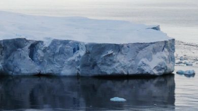 Glacier terlihat di atas air di Antartika