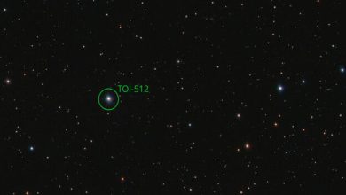 Dalam hijau, bintang TOI-512 di mana exoplanet TOI-512 B mengorbit. © José r