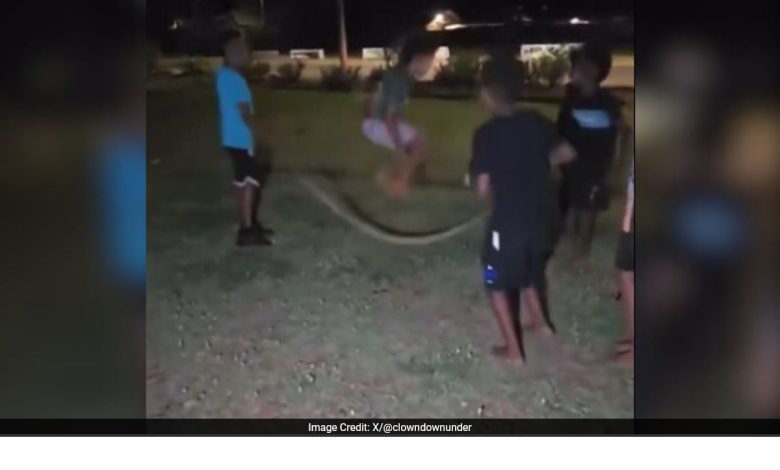 VIDEO: Anak -anak di Australia menggunakan Dead Snake saat melewatkan tali, penyelidikan diluncurkan