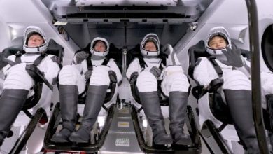 Temui 4 Astronot di SpaceX Crew-10 yang akan menggantikan Sunita Williams