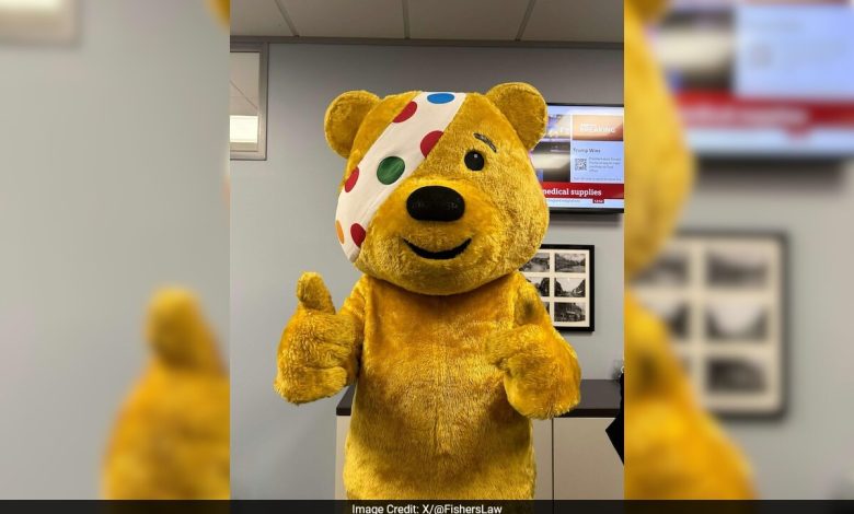 Wanita Inggris yang mengubah namanya menjadi 'Pudsey Bear' tidak bisa mendapatkan paspor