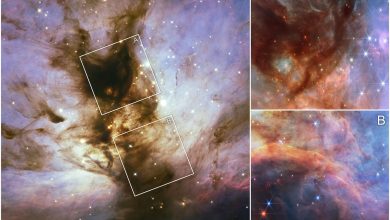 Gambar 3 berpanel dari nebula berwarna -warni