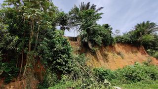 Foto parit di lanskap hutan hujan