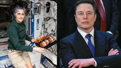 Apa yang dikatakan Elon Musk tentang kembalinya Sunita Williams setelah peninggalan ruang 9 bulan