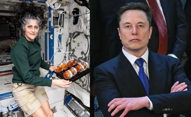 Apa yang dikatakan Elon Musk tentang kembalinya Sunita Williams setelah peninggalan ruang 9 bulan