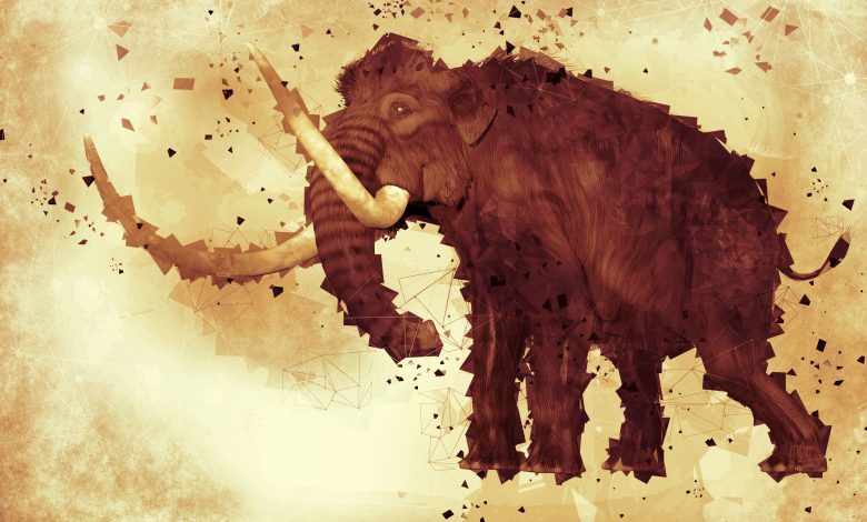 Polling: Haruskah kita membawa kembali mammoth wol?