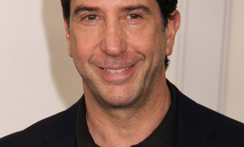 David Schwimmer di 2024 Disney di muka