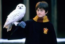 Daniel Radcliffe sebagai Harry Potter Memegang Hedwig Burung Hantu di Harry Potter dan The Philosopher's Stone (2001)