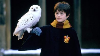 Daniel Radcliffe sebagai Harry Potter Memegang Hedwig Burung Hantu di Harry Potter dan The Philosopher's Stone (2001)