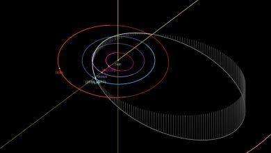 Diagram yang menunjukkan orbit asteroid 2014 TN17 melalui tata surya