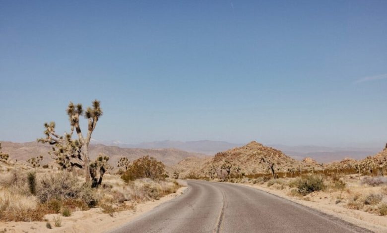 Pertanyaan Perjalanan Jalan Joshua Tree