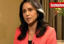 "Trump fokus pada perdamaian": Kepala Intel AS Tulsi Gabbard tentang Perang Ukraina