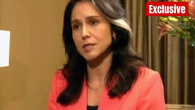 "Trump fokus pada perdamaian": Kepala Intel AS Tulsi Gabbard tentang Perang Ukraina