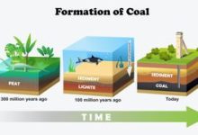 Diagram yang menunjukkan bagaimana batubara terbentuk selama ratusan juta tahun