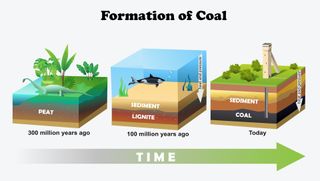 Diagram yang menunjukkan bagaimana batubara terbentuk selama ratusan juta tahun