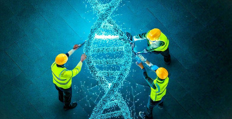 Pekerjaan perbaikan DNA terus -menerus diperlukan untuk menjaga DNA tetap utuh. (Gambar: Josef Kuster /
