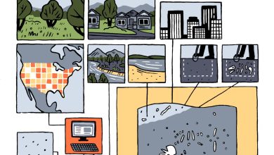 sebuah komik yang menunjukkan berlalunya waktu di benua Amerika Utara
