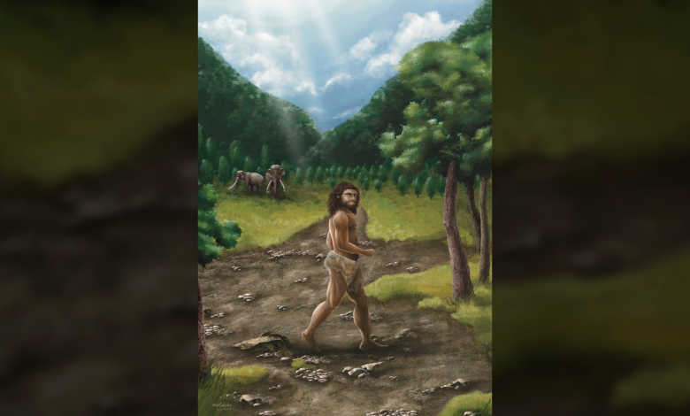 Menggambar rekonstruksi seorang jantan Denisovan mengenakan cawat. Dia berjalan dari kiri ke kanan dan melihat penonton. Di latar belakang adalah pohon, semak, dan dua gajah.