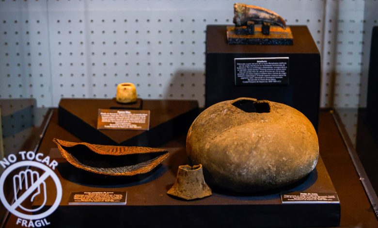 gambar beberapa artefak di kuburan wanita yang ditampilkan di museum