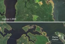 Perbandingan berdampingan dari citra satelit yang menunjukkan bagaimana hutan hantu telah tumbuh dalam 20 tahun terakhir