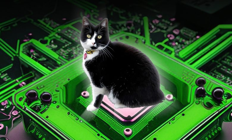 Komputasi kuantum yang terinspirasi dari Schrödinger sekarang 160 kali lebih dapat diandalkan berkat penemuan baru
