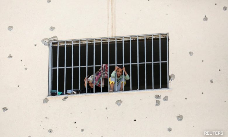 Di tengah perang Israel-hamas, gaza menggunakan daging penyu berburu makanan