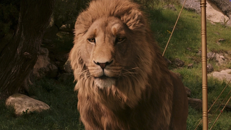 Aslan berdiri di sebelah tenda di Chronicles of Narnia: The Lion, The Witch dan The Wardrobe
