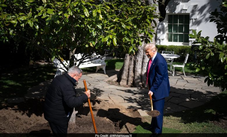Trump tanaman 'maganolia' untuk menggantikan pohon rumah putih bersejarah berusia 200 tahun
