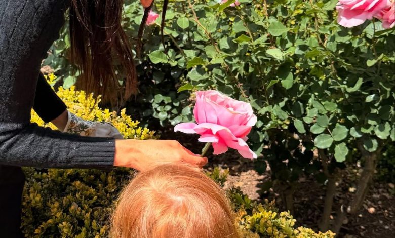 Meghan Markle dan Putri Lilibet cenderung ke taman mawar
