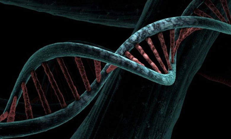 Sequencing DNA mungkin menjadi target utama bagi peretas, studi memperingatkan