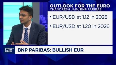 Kekuatan Euro, bukan kelemahan dolar AS, adalah kisah yang saat ini mengemudi pasar: bnp paribas