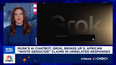 Xai Chatbot Grok dari Elon Musk memunculkan klaim 'genosida putih' Afrika Selatan dalam tanggapan yang tidak terkait