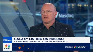 CEO Galaxy Mike Novogratz: Administrasi Trump sangat luar biasa untuk industri crypto