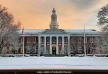 "Pawns, Poker Chips": Siswa asing di Harvard Panic di tengah pertempuran Trump