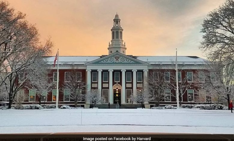 "Pawns, Poker Chips": Siswa asing di Harvard Panic di tengah pertempuran Trump
