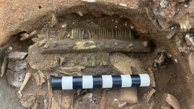 Bromeswell Bucket Micro-Excavation