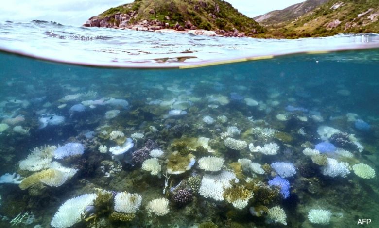 Setelah permata, Ningaloo Reef Australia sekarang menghadapi krisis pemutih karang
