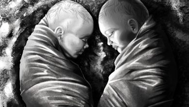 Bayi kembar terkubur bersama di Kroasia Romawi mungkin telah meninggal karena keracunan timbal