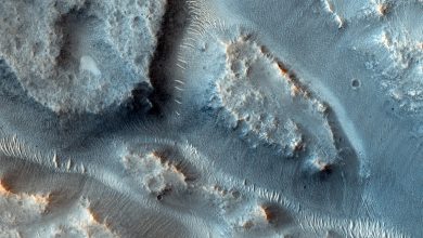 gambar udara ngarai di Mars
