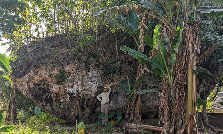 Ada batu besar di tebing di Tonga. Sekarang kita tahu bagaimana sampai di sana.