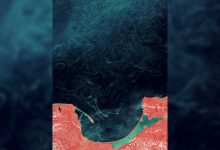 Foto satelit yang diperpanjang menunjukkan tingkat sebenarnya dari slick serbuk sari