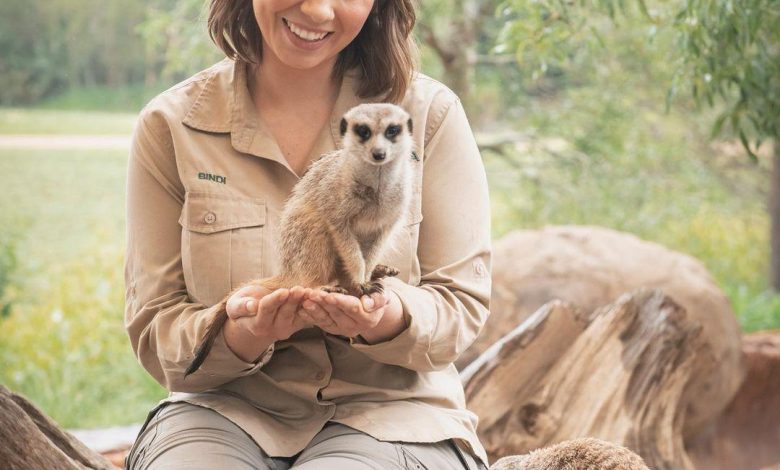 Fans memuji kembalinya Bindi Irwin ke kebun binatang setelah operasi endometriosis