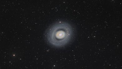 Galaksi spiral bundar dengan titik tengah yang cerah, terlihat di ratusan bintang latar belakang